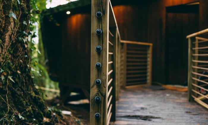 Walk way entrance at the back of the lodge